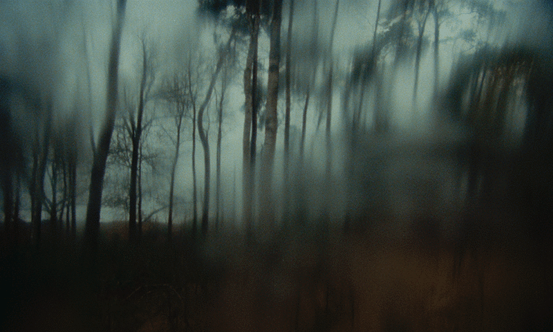 Our Nature / Lukas Dhont